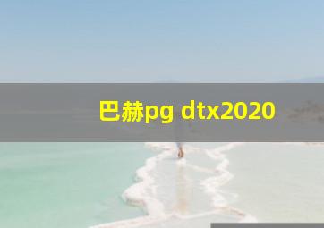 巴赫pg dtx2020